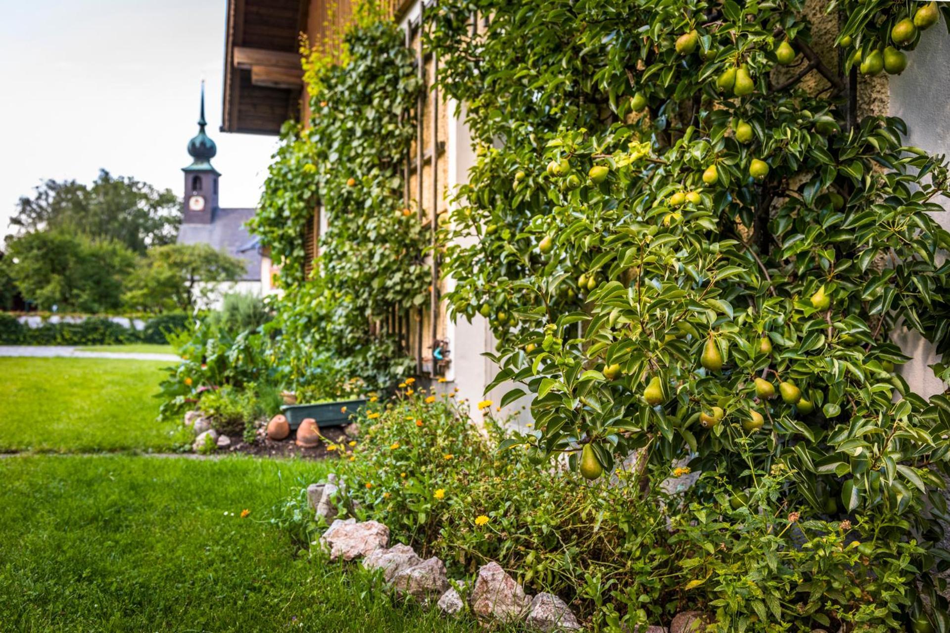 Landhaus Appartement Seidenwebergut Anif Bei Salzburg Niederalm 外观 照片